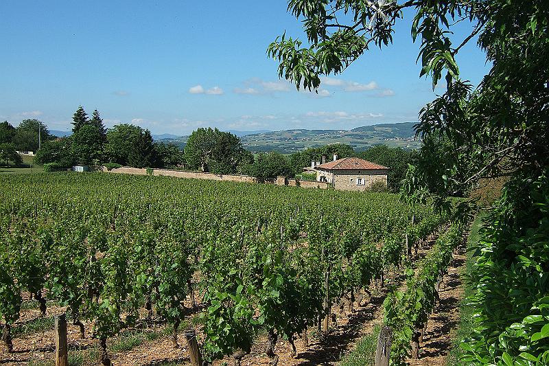 2010-06- (32).JPG